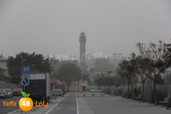 mina2 adrar jfe (18).jpg